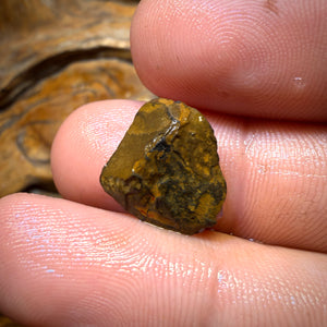 6.2cts - Yowah Nut Crystal Centre Opal Rough Piece