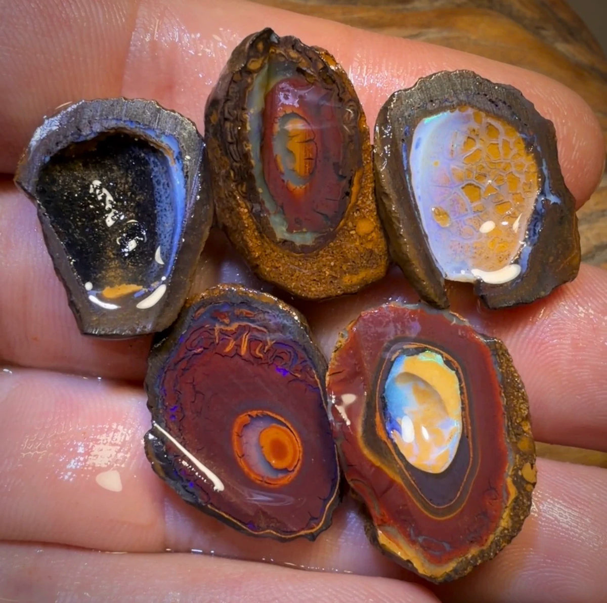 🔒89.1cts - 5x Yowah Nut Partial Crystal Centre Rough Specimen Parcel BARGAIN!