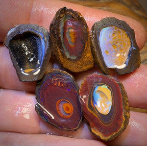 🔒89,1 ct - 5x Yowah Nut Teilkristall-Rohdiamant-Paket zum Schnäppchenpreis!