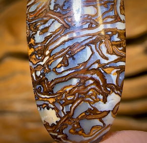 19.1cts - Awesome Tribal Queensland Boulder Opal. Double Sided!