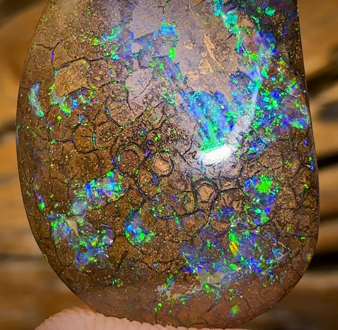 31.4cts - Yowah Nut Opal. Australian Opal