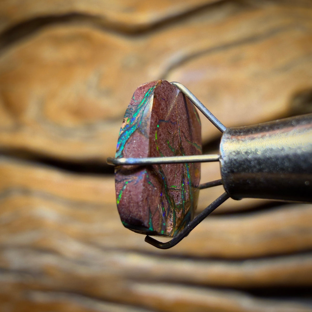 3.1cts - Australian Boulder Opal from Yowah