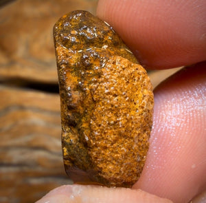 22.1cts - Yowah Nut Crystal Centre Deep Purple Opal Rub