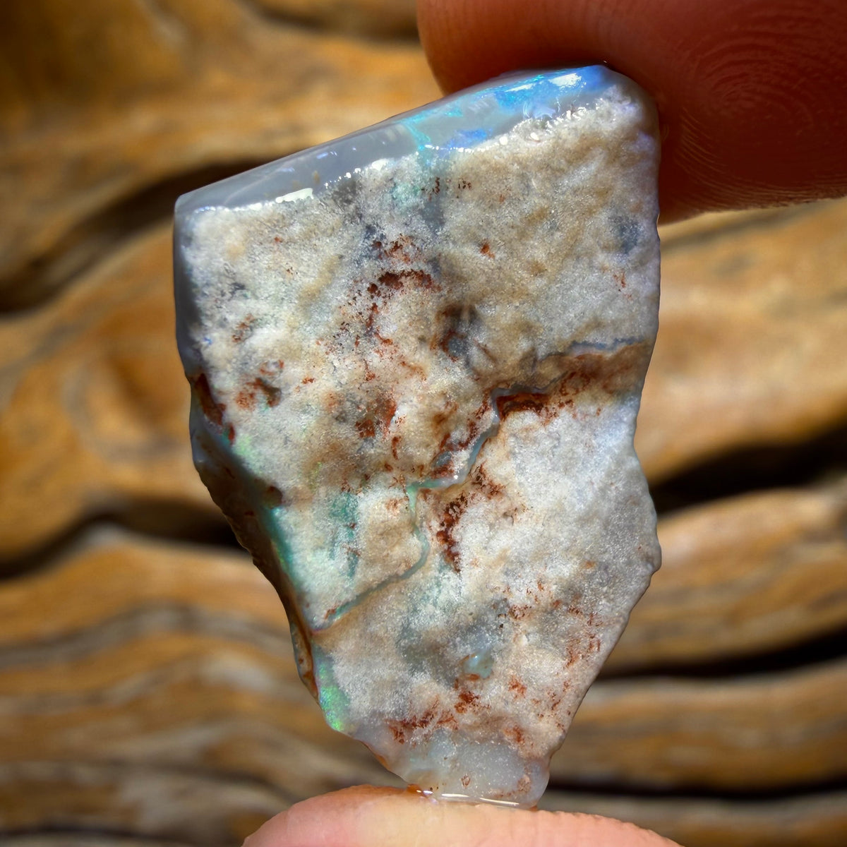 15.1cts - Lightning Ridge Dark Opal Rough Piece