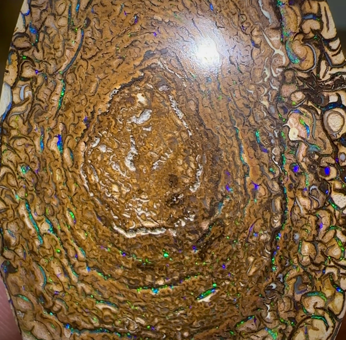 157.8cts - Yowah Nut Opal Matching Pair. Tribal Pattern - Opal Whisperers