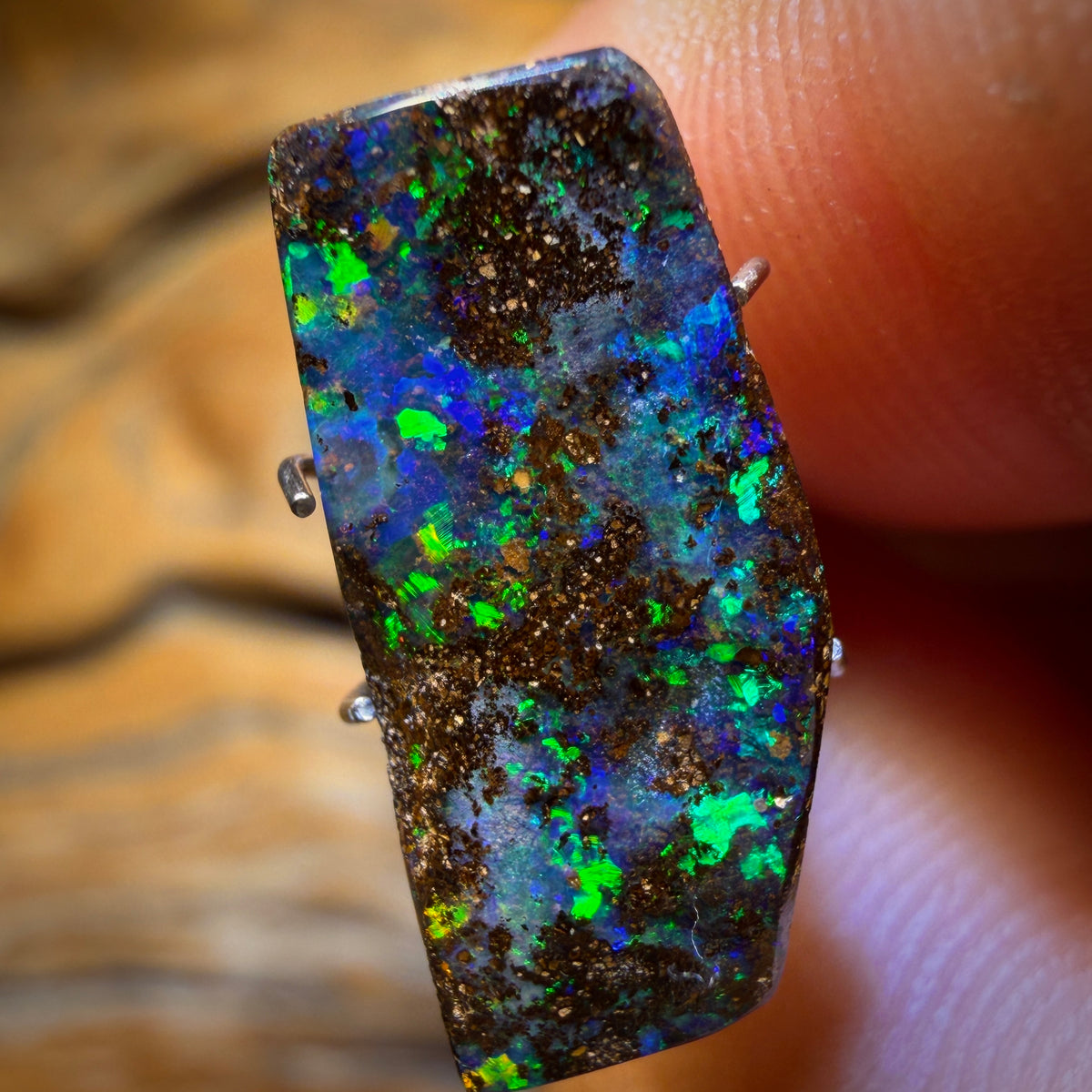 5.5cts - Queensland Boulder Seam Opal