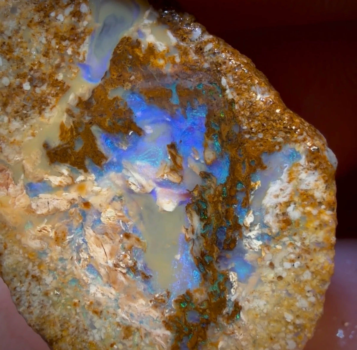 31.5cts - Yowah Fossil Opal Rough Pair. Australian Opal