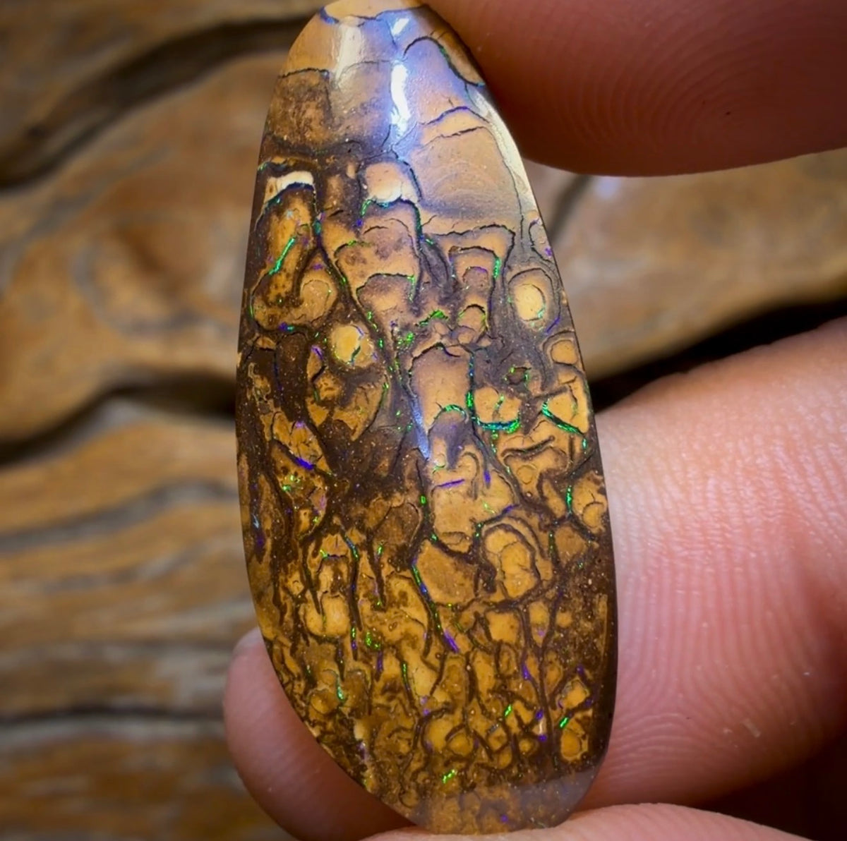 24.9cts - Tan Tribal Yowah Nut Opal. Australian Opal