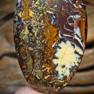 35 x 20mm - Awesome Art Of Opal Style Drilled Tribal Queensland Boulder Opal