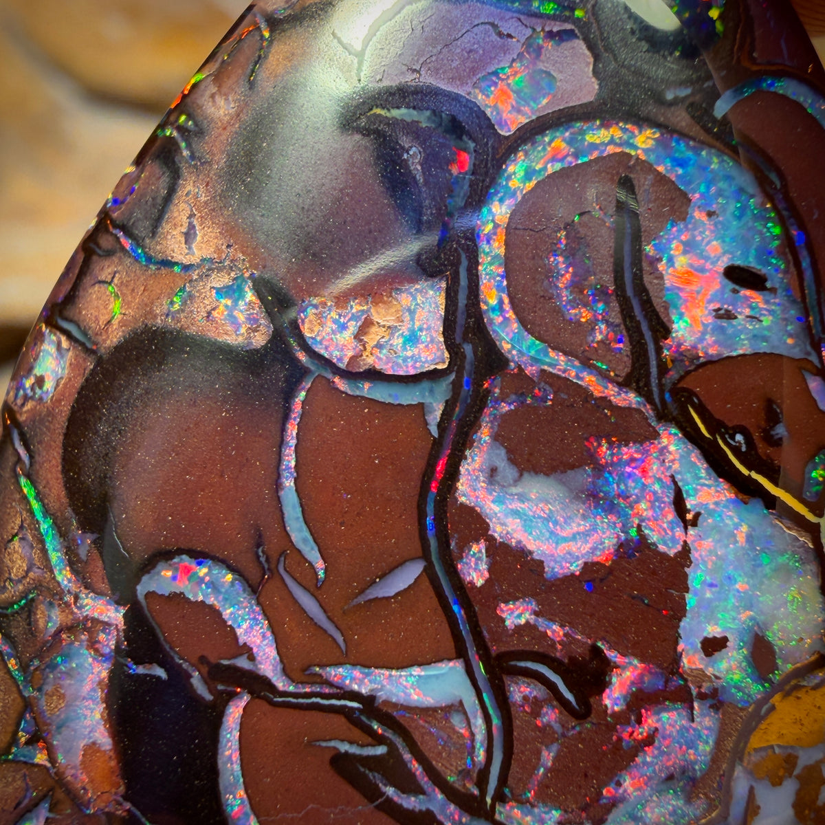 81.1cts - TOP Tribal Australian Boulder Opal from Koroit. RED MULTI!