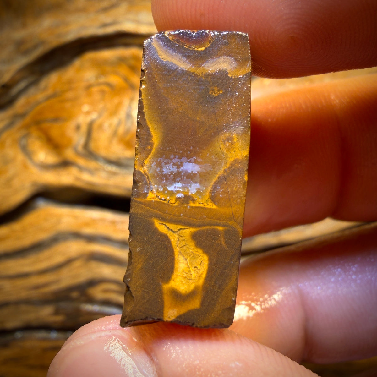 64,6ct – Queensland Boulder Opal Rohling Rohform aus Duck Creek