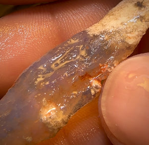 🔨 AUCTION 🔨 21.6cts - Rare Opalised Geological Specimen from Lightning Ridge