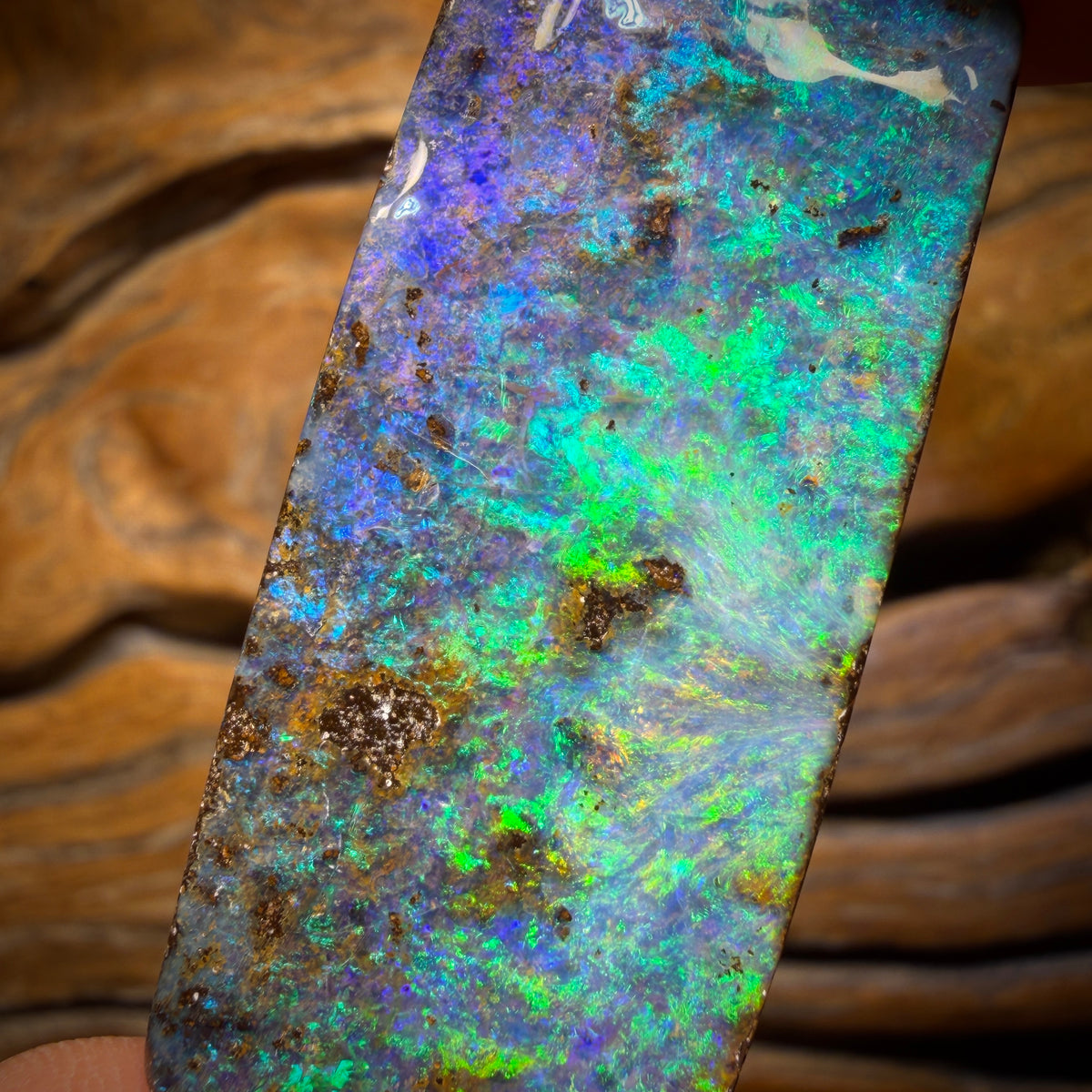 129.9cts - BIG Reef Collection No.1 Queensland Boulder Seam Opal