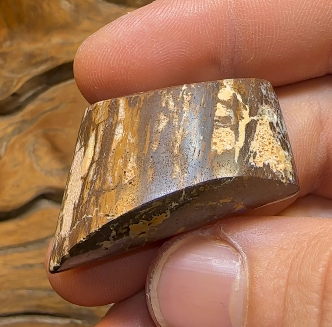 88.5cts - Wonderful Wood Fossil Australian Boulder Opal - Opal Whisperers