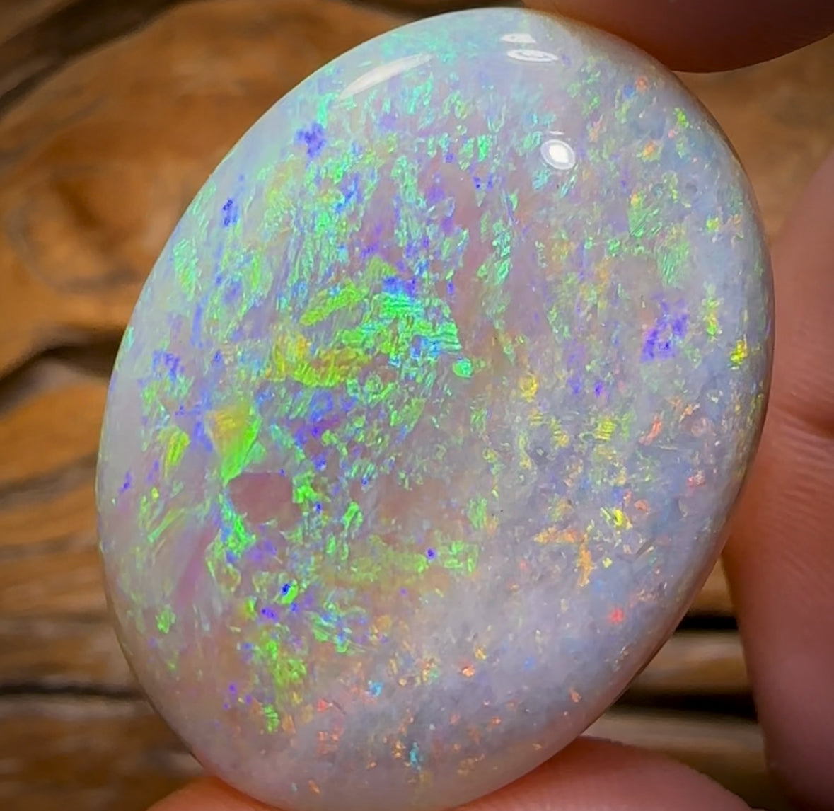 49.5cts - Large South Australian Crystal on Unique “Mother of Matrix” Multicolours!