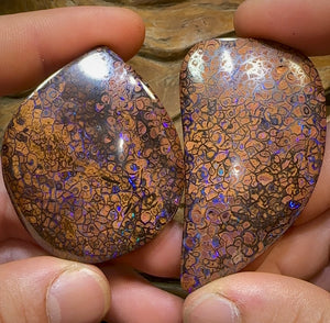 342.7cts - Yowah Nut Opal Specimen Pair. TRIBAL PATTERN