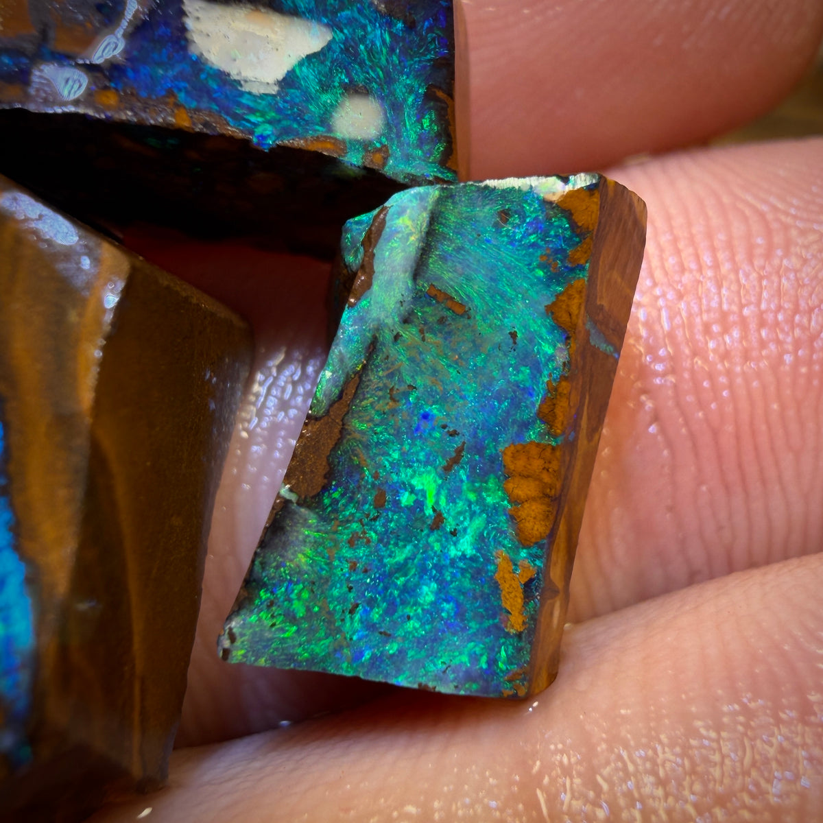 🔒29.8cts - 3x Australian Boulder Seam Opal Rubs Parcel