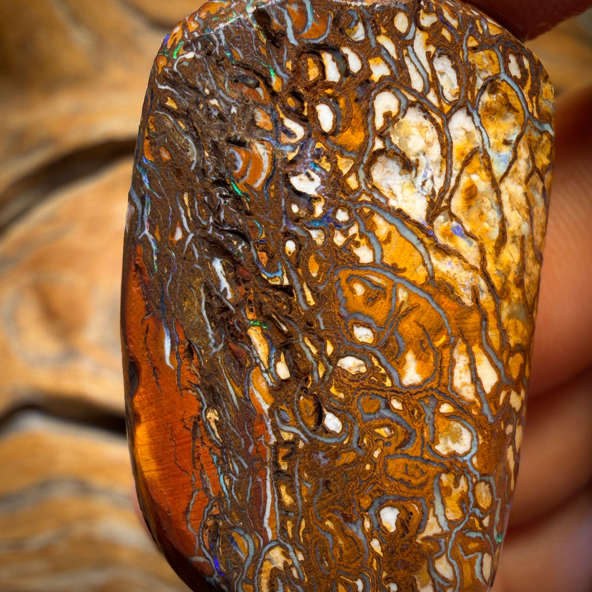 118,6 Karat - Stammes-Yowah-Nuss-Opal Rohstück