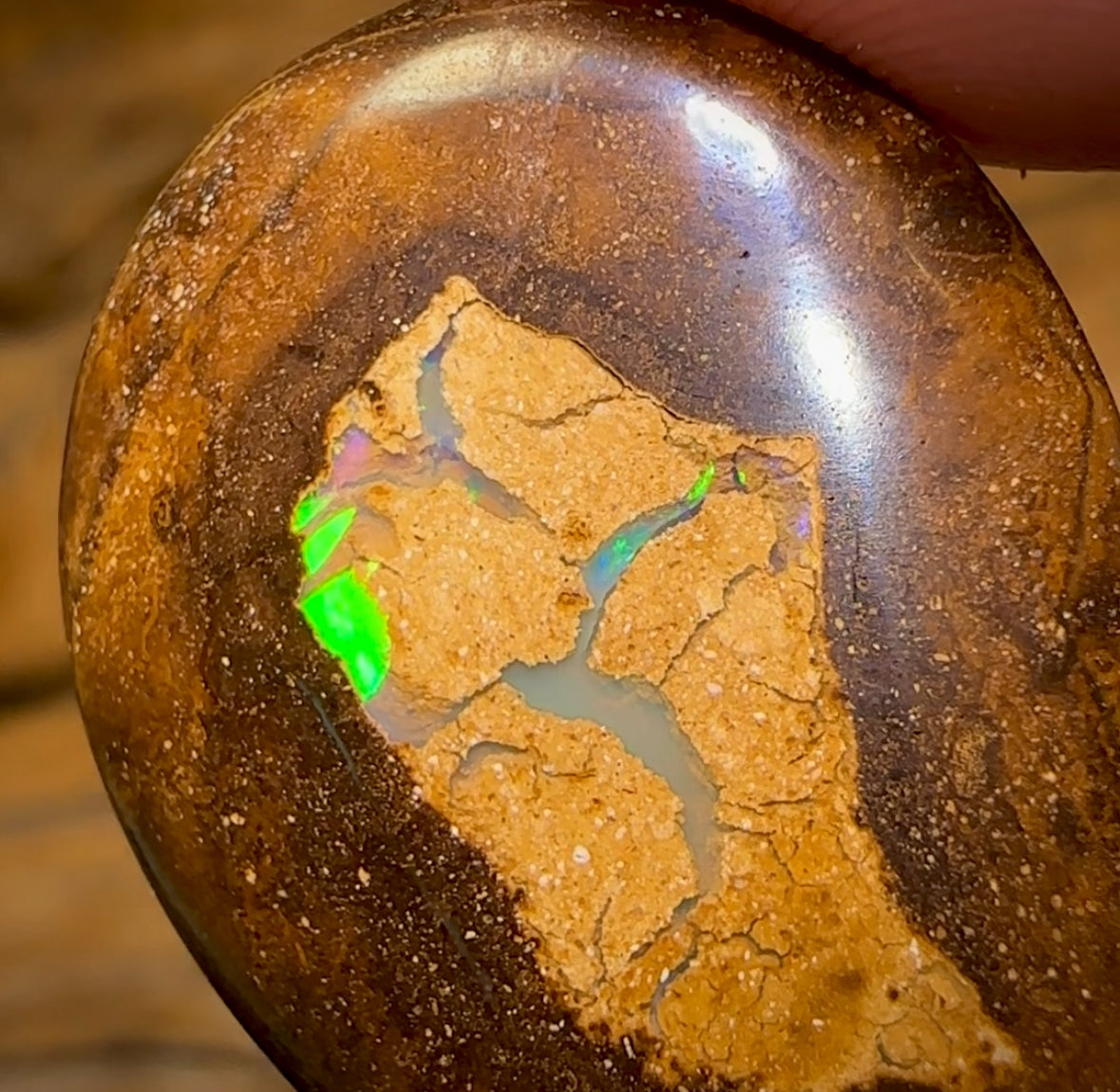 26.5cts - Yowah Nut Tribal Kernel Opal. Australian Boulder Opal