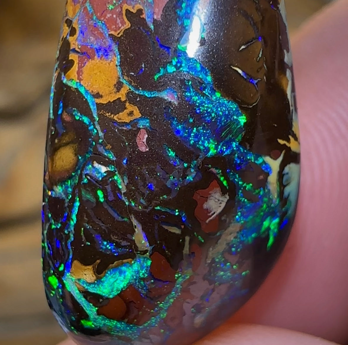 19.4cts - Electric Top Tribal Australian Boulder Opal from Koroit - Opal Whisperers