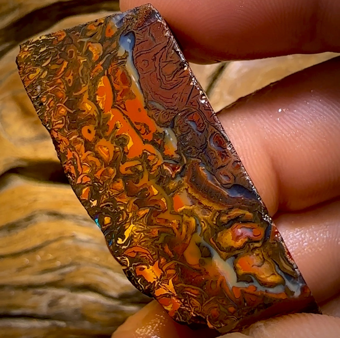 173,1 ct – Rohstück eines Boulderopals aus Koroit, Queensland (Stammesgebiet)