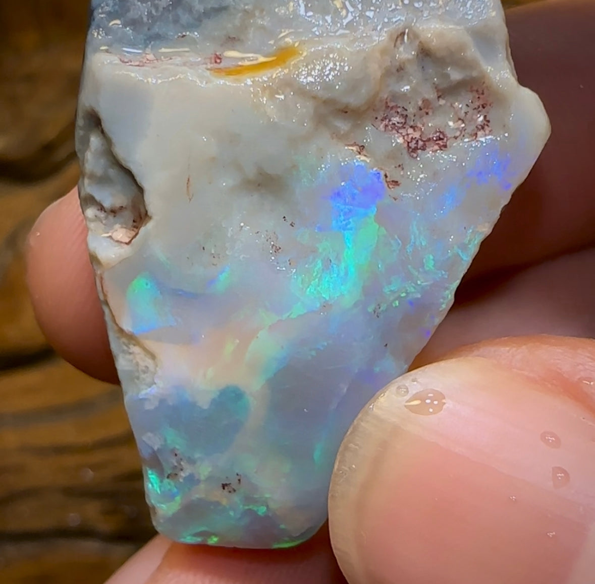 58.2cts - Dark Opal Rough Piece from Lightning Ridge. Flag/Chaff - Opal Whisperers