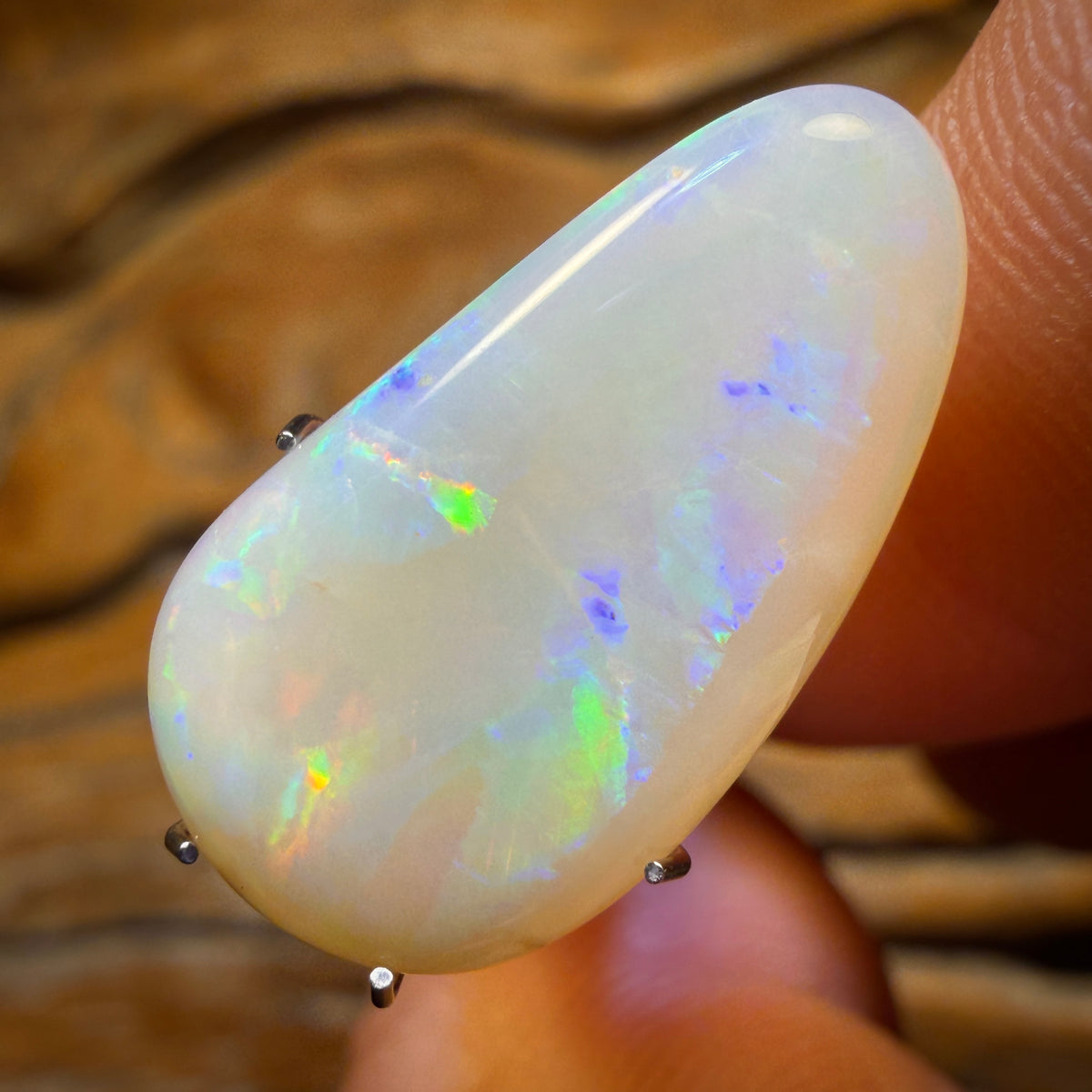 Half Price Card! 7.2cts - South Australian White Opal
