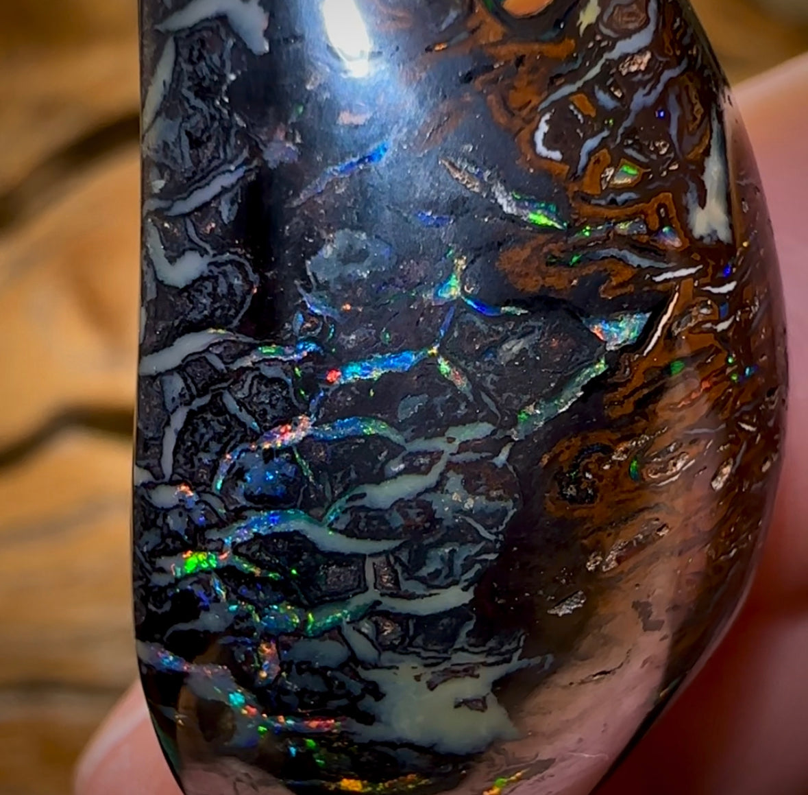 62.8cts - Queensland Black Tribal Koroit Nut. Dark Ironstone Opal - Opal Whisperers