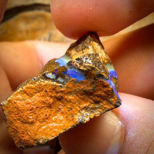 274cts - 3x Queensland Boulder Opal Rough Parcel from Duck Creek