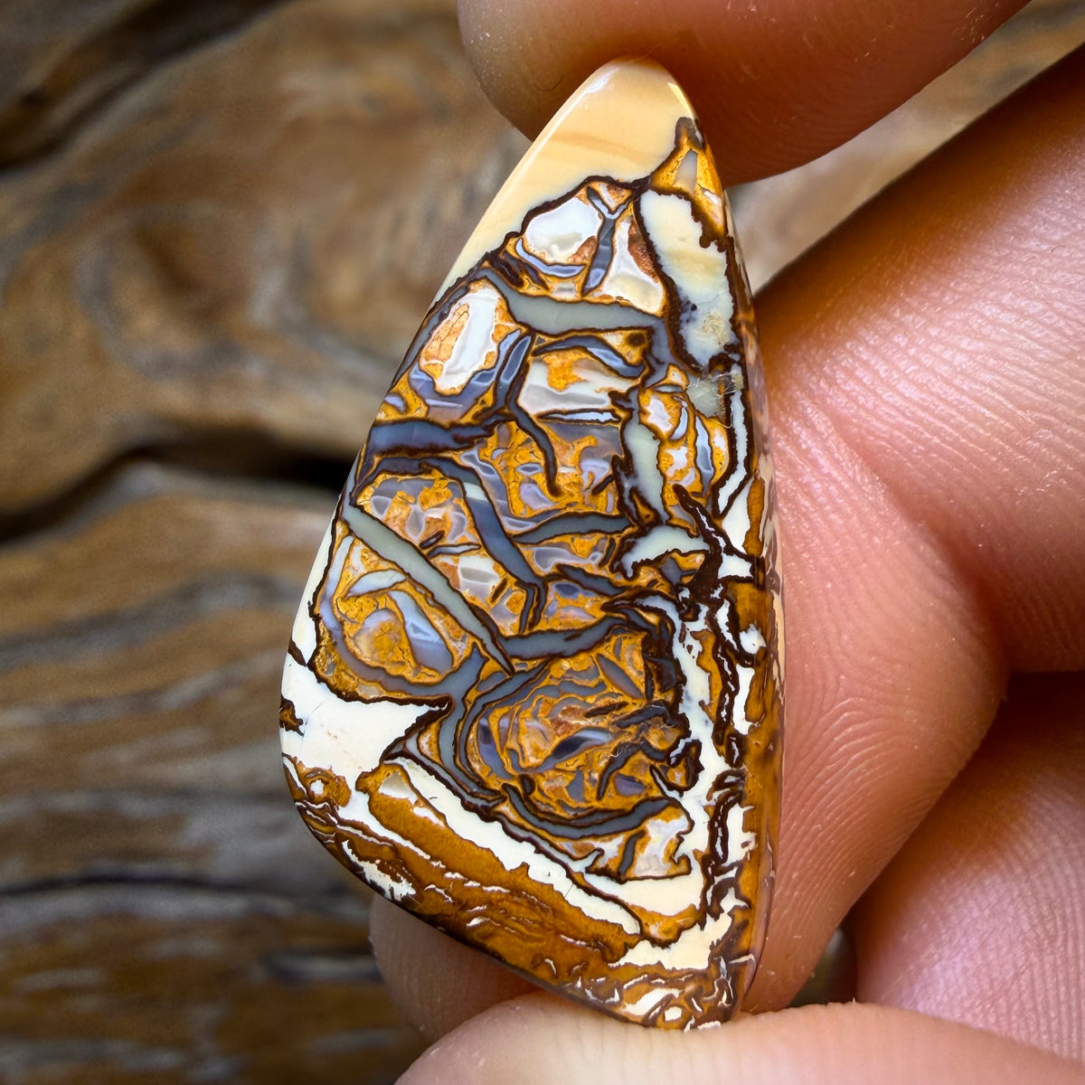 HDW 20.9cts - Rare Blonde/Porcelain Tribal Australian Boulder Opal from Yowah