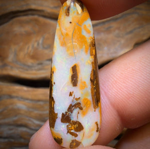 14.1cts - Yowah Nut Opal. Australian Opal