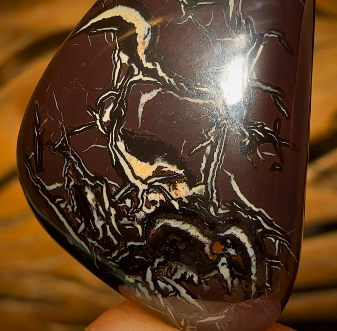 42.6cts - Queensland Boulder Opal from Koroit