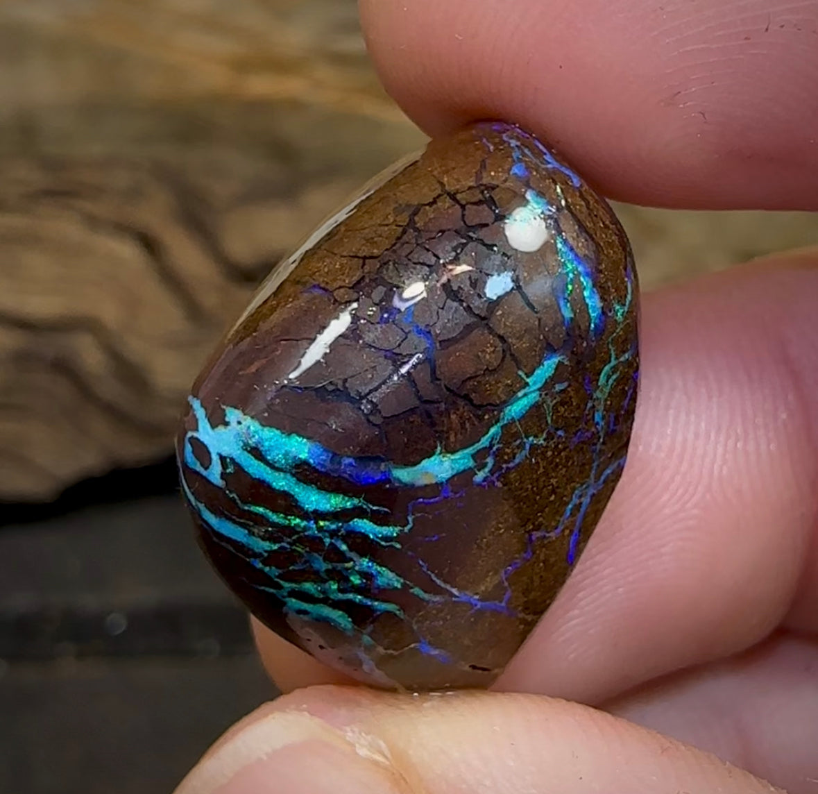 46.5cts - Boulder Opal Tumbled ￼Rough Rub