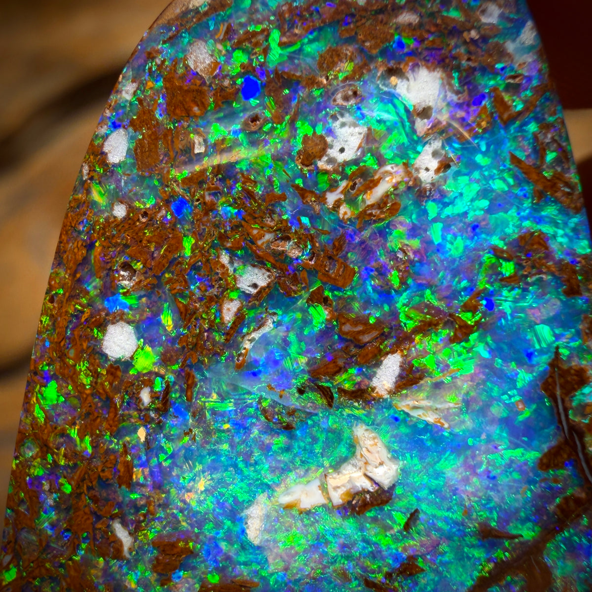 22.7cts - Top Queensland Boulder Opal from Yowah