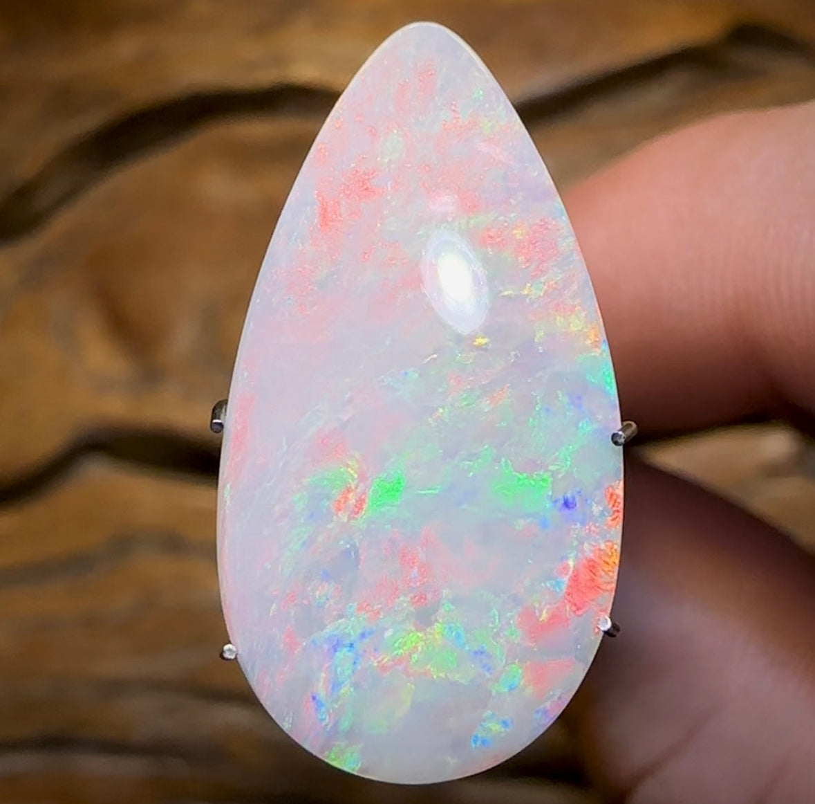 Opal Whisperers Voice Or Full Assessment Certification - Opal Whisperers