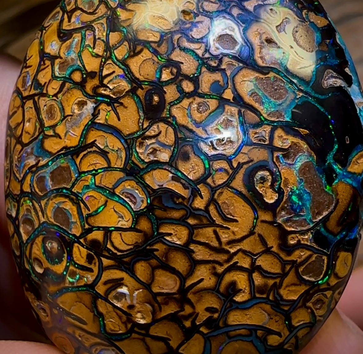 258.1cts - “Crazy Eyes” Top Tribal Yowah Nut Opal Pair. Double Sided