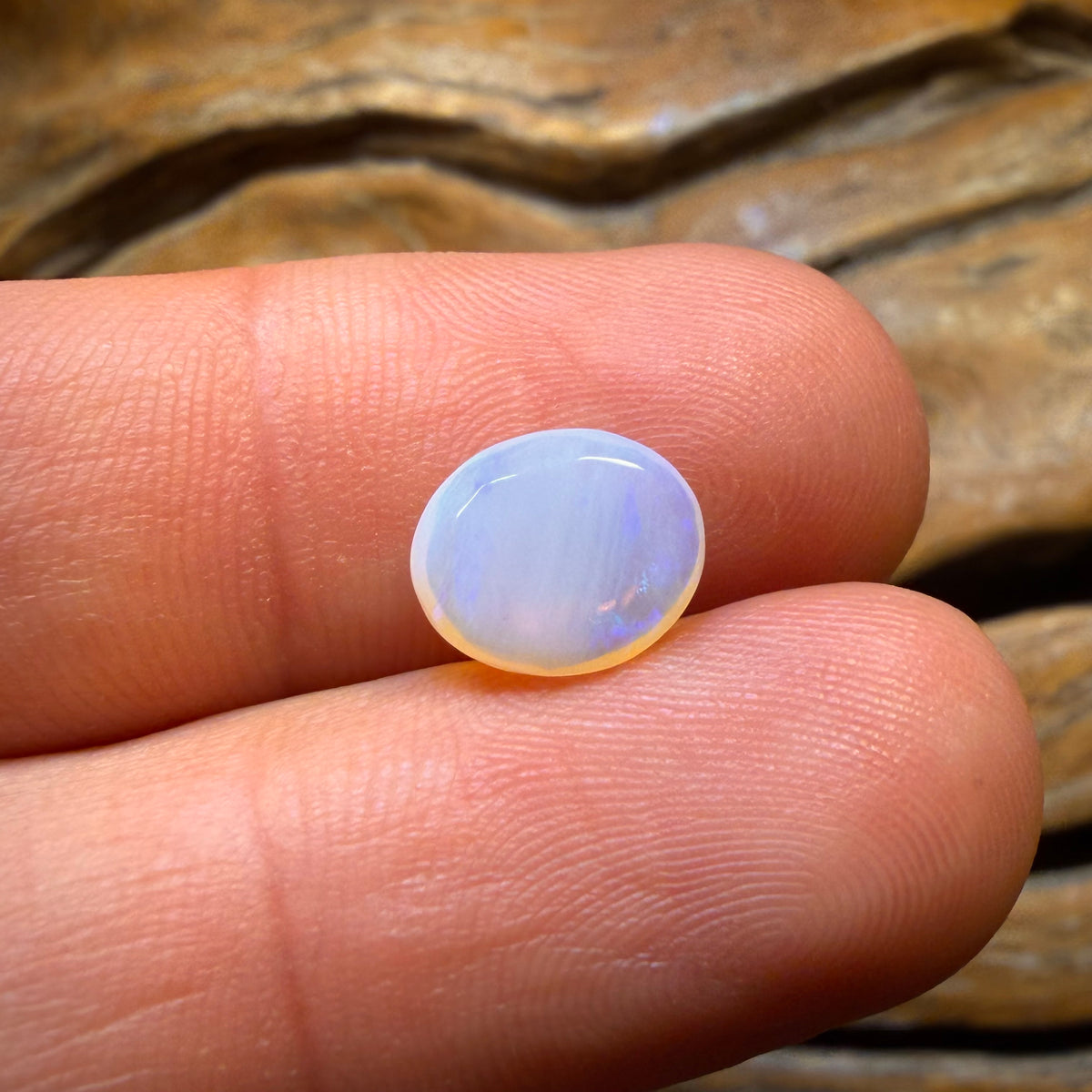 🔨 AUKTION 🔨 Ohne Mindestpreis 1,8cts – South Australian Crystal Opal