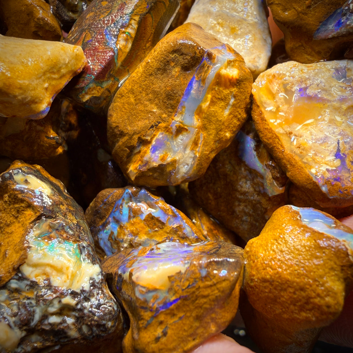 150g - Yowah Opalised Wood/Vegetation Fossil Rough Parcels. BULK LISTING!