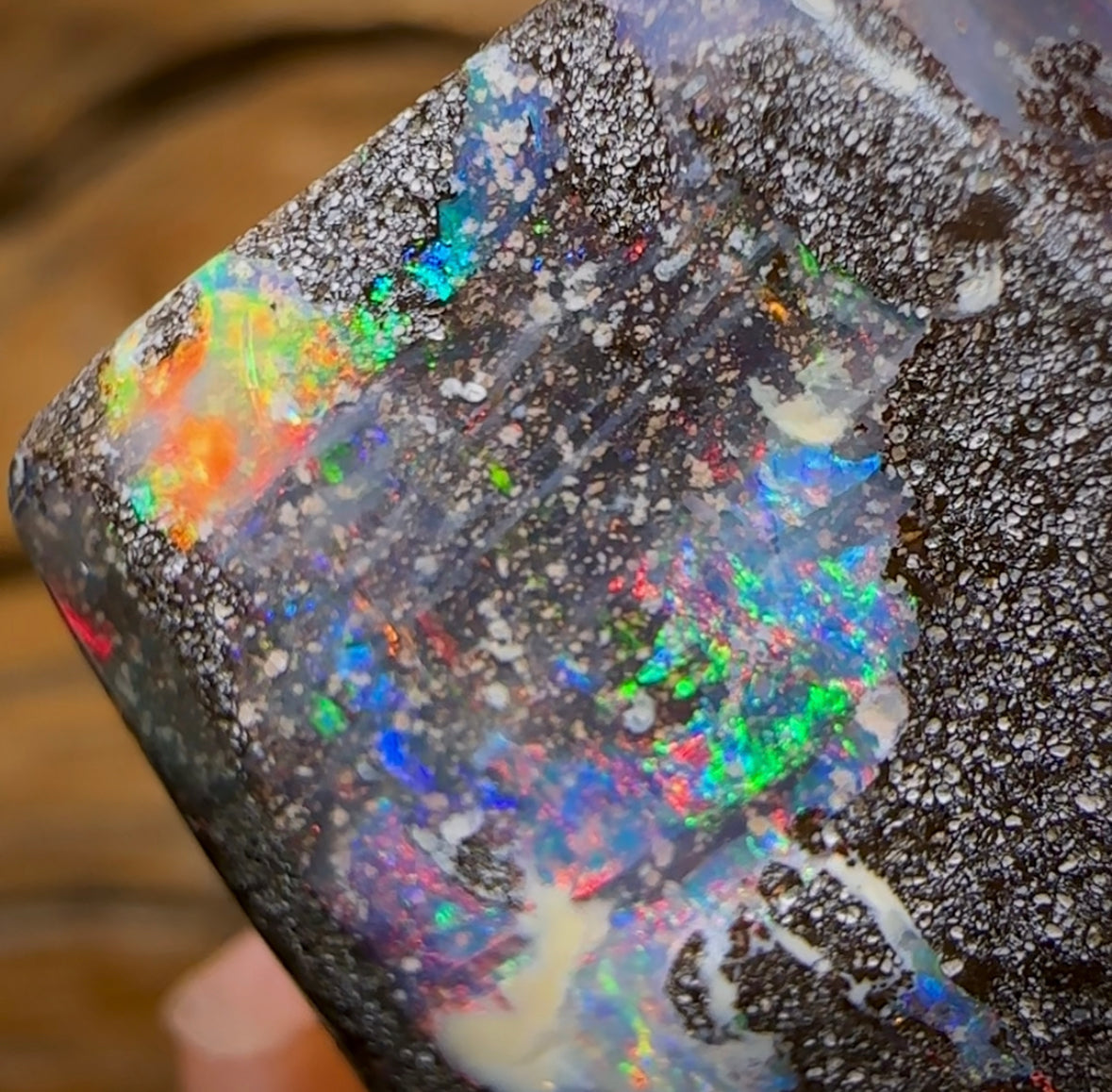 57.4cts - Australian Boulder Seam Opal Specimen Polished Electric Multicolour Bargain - Opal Whisperers