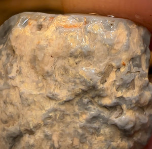 Auction Fall-Through = Your Gain! 🔥 Now More Than 50% Off RRP 🚨 18.1cts - Lightning Ridge Wood / Vegetation Fossil Opal Rough Specimen