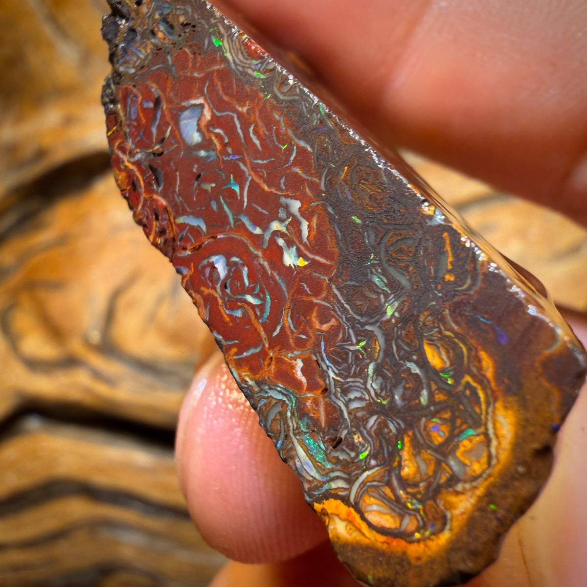 151.2cts - Stammes Yowah Nuss Opal Rohstück