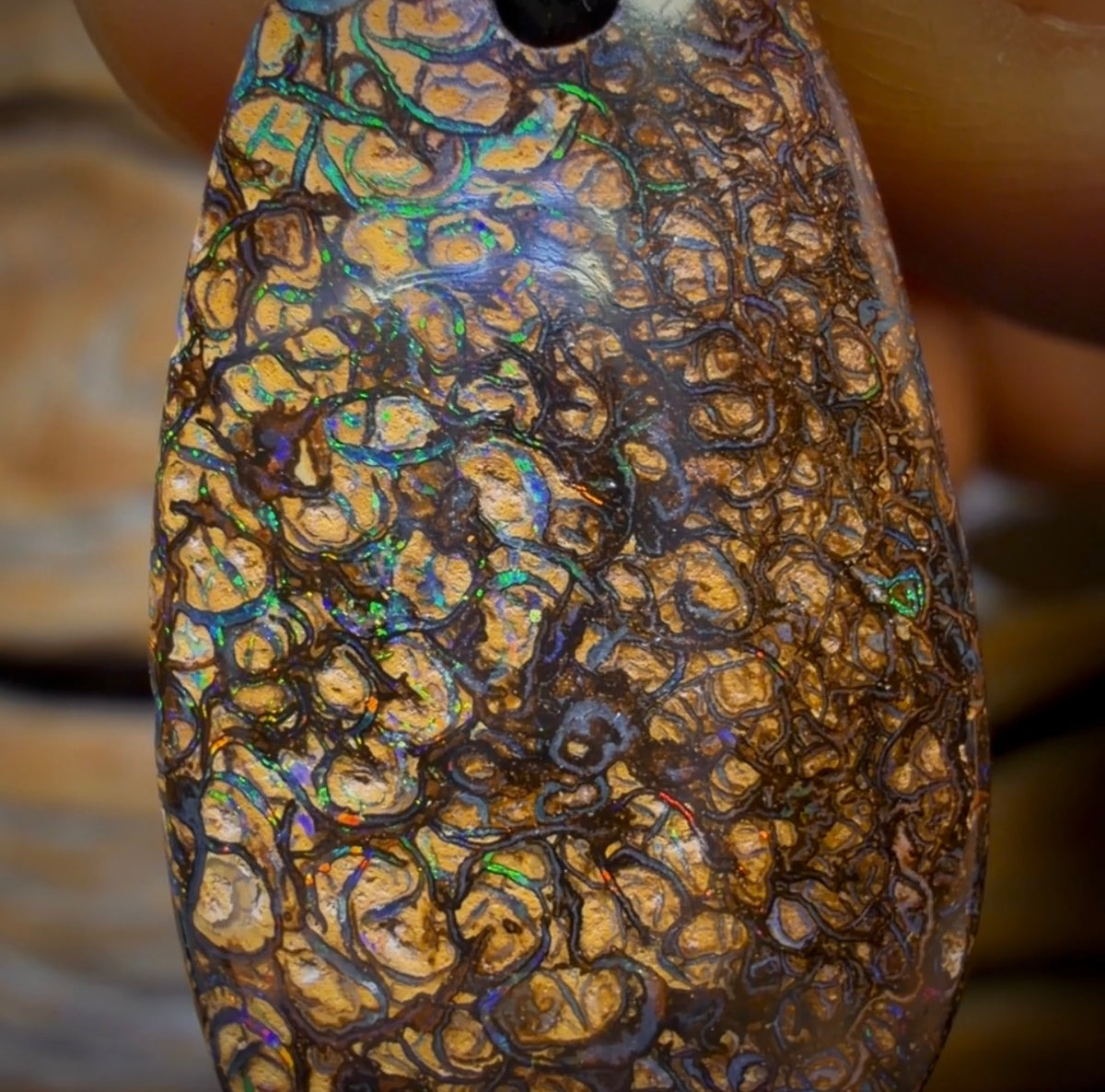 32 x 16mm - Drilled Tribal Queensland Boulder Opal Necklace