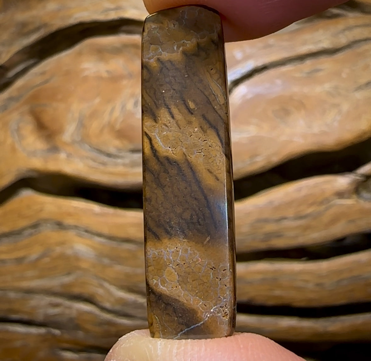 Auction Fall-Through = Your Gain! 🔥 Now More Than 50% Off RRP 🚨 18.1cts - Yowah Nut Tribal Opal