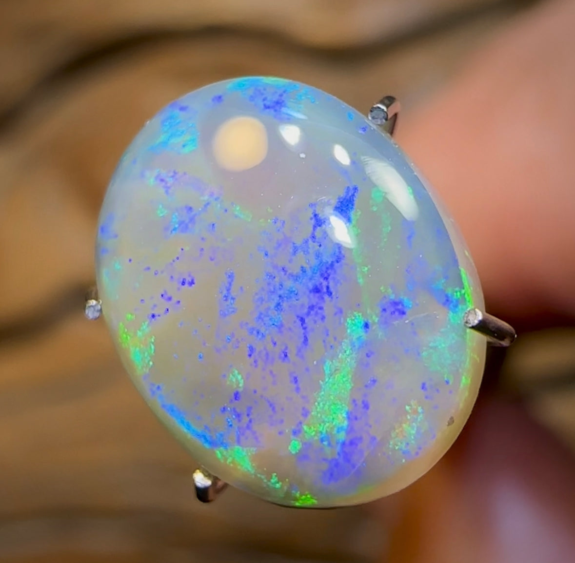 3.1cts - Lightning Ridge Crystal Opal - Opal Whisperers