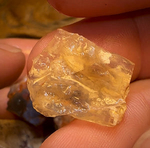 97.8cts - 4x Opalised Shell Geological Specimens from Lightning Ridge