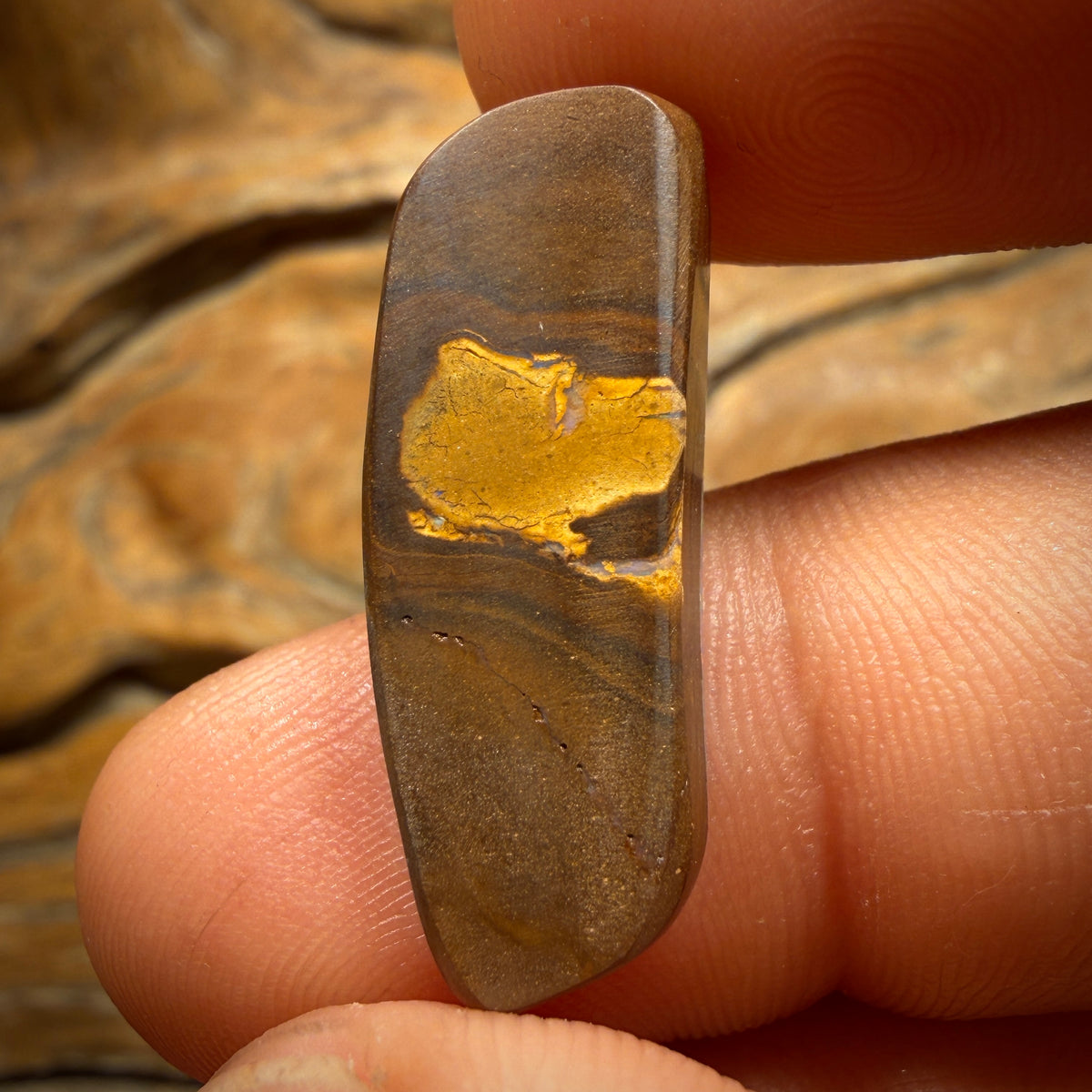 🔨 AUCTION 🔨 Reserve 💎 High Roller Banger Auction 💎 16.7cts - Queensland Boulder Seam Opal from Winton