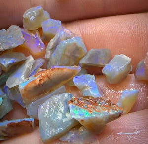 Auction Fall-Through = Your Gain! 🔥 Now More Than 50% Off RRP 🚨 58.5cts - 42x Lightning Ridge Opal Rough Parcel