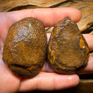 Bargain Card! 521cts - RARE Yowah Nut Partial Crystal Centre Rough Specimen Pair