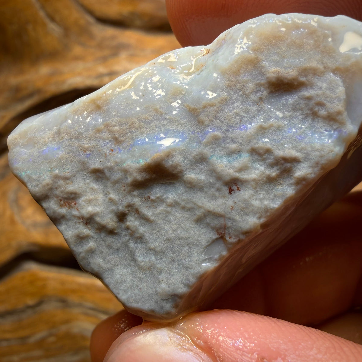 214.3cts - Large Lightning Ridge Dark Opal Rough Piece