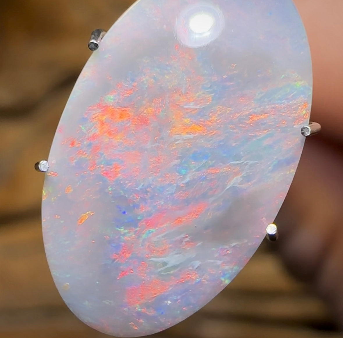 3.1cts - Quality Lightning Ridge Black Opal - Opal Whisperers